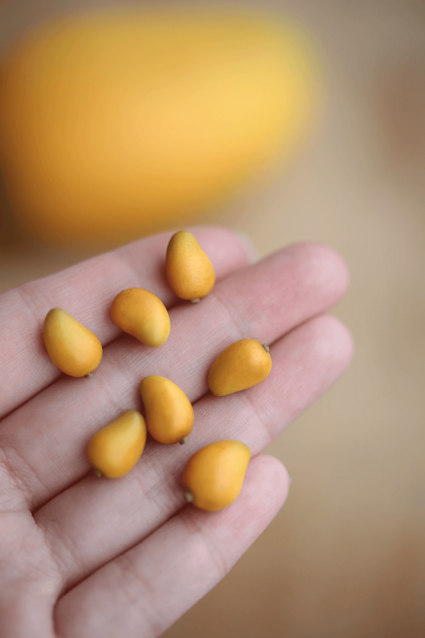 Mango earring