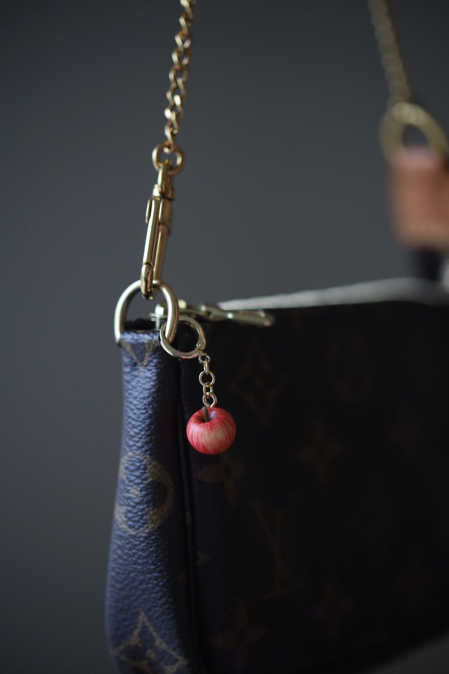 Berry Bag Charm