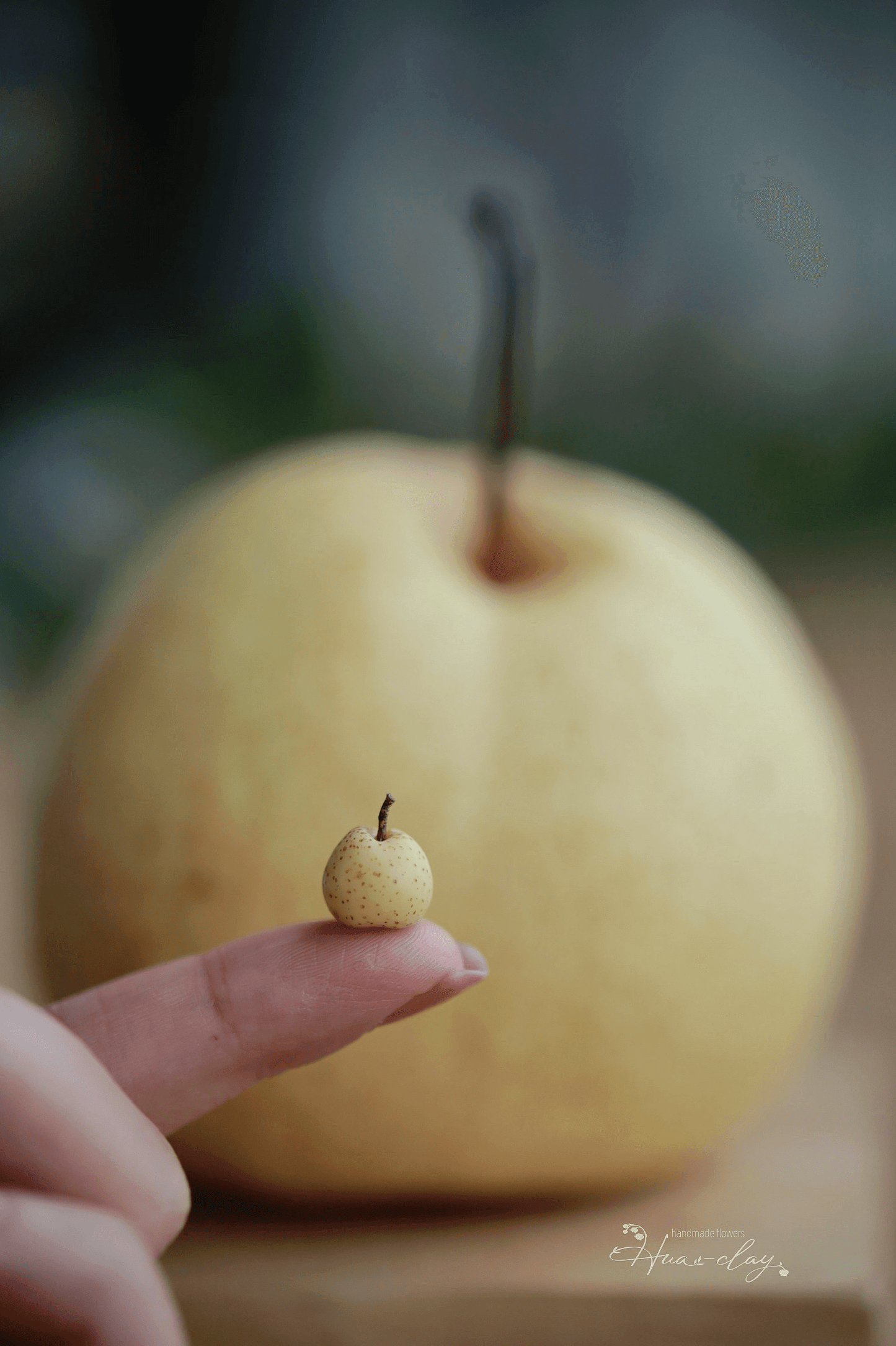 Pear Series