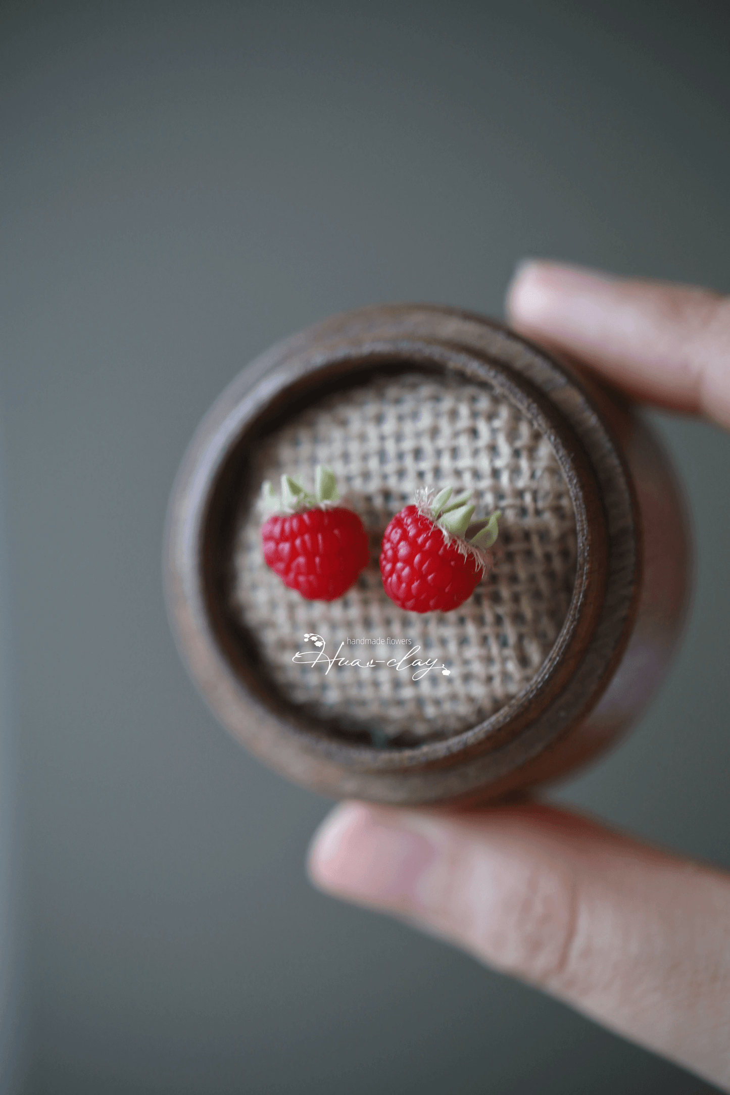Raspberry series